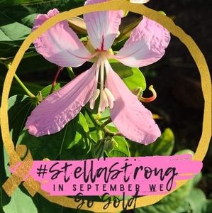 Meet your Posher, Tammy